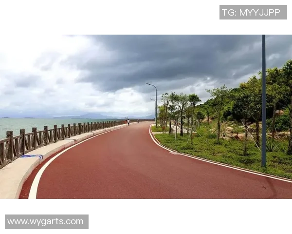 深圳极限运动队节奏对比深度解析与发展趋势探讨